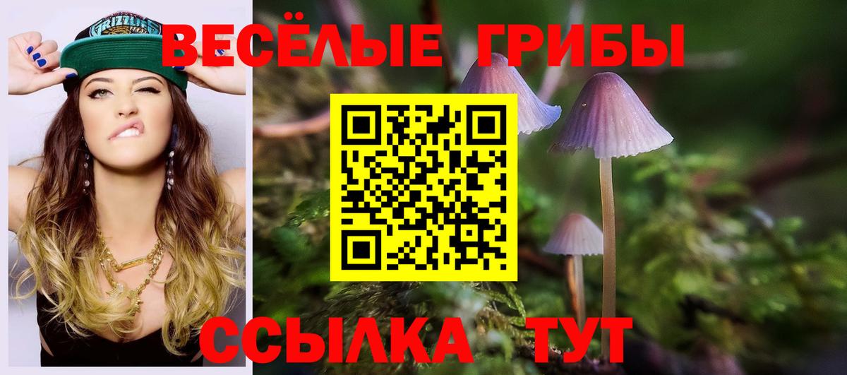 Псилоцибиновые грибы GOLDEN TEACHER Шелехов